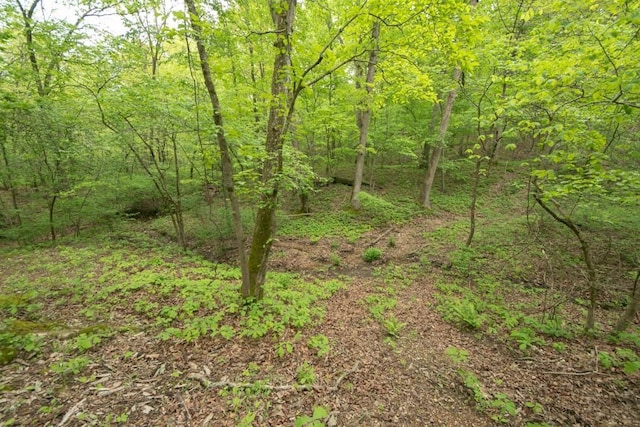 0000 Old Nonsuch Rd, Camdenton, MO 65020 - photo 33