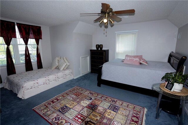 16366 S Hunter St, Olathe, KS 66062 - bedroom featuring carpet floors, a textured ceiling, ceiling fan, and lofted ceiling