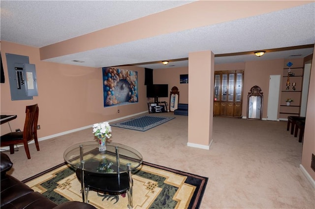16366 S Hunter St, Olathe, KS 66062 - living area featuring carpet, a textured ceiling, electric panel, and baseboards