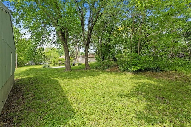 view of green lawn