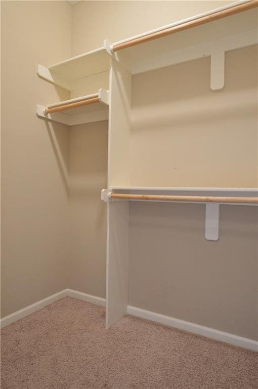 21962 W 116th Ter, Olathe, KS 66061 - spacious closet with carpet flooring