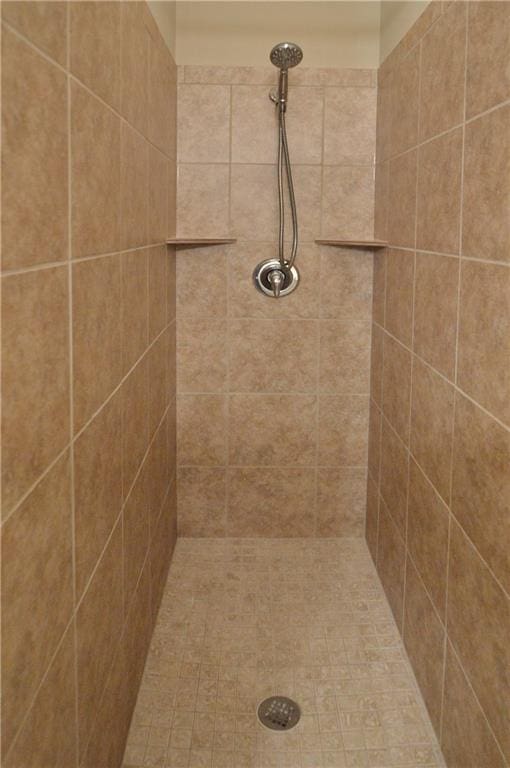 21962 W 116th Ter, Olathe, KS 66061 - full bath with tiled shower