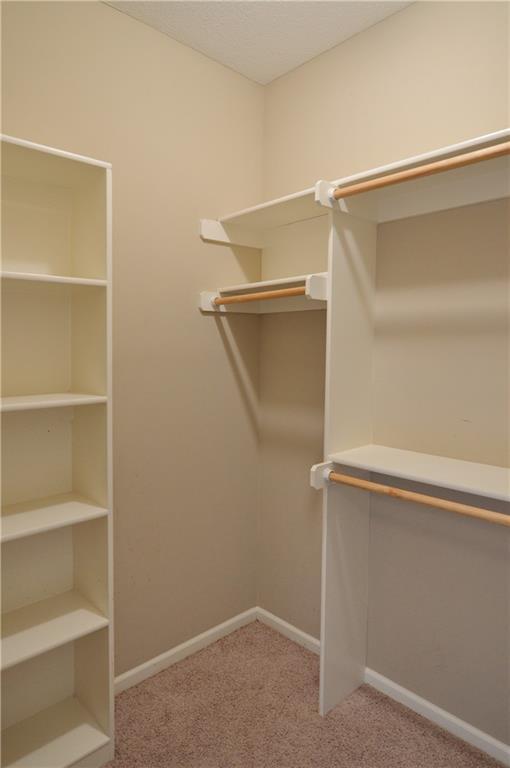 21962 W 116th Ter, Olathe, KS 66061 - spacious closet with carpet floors