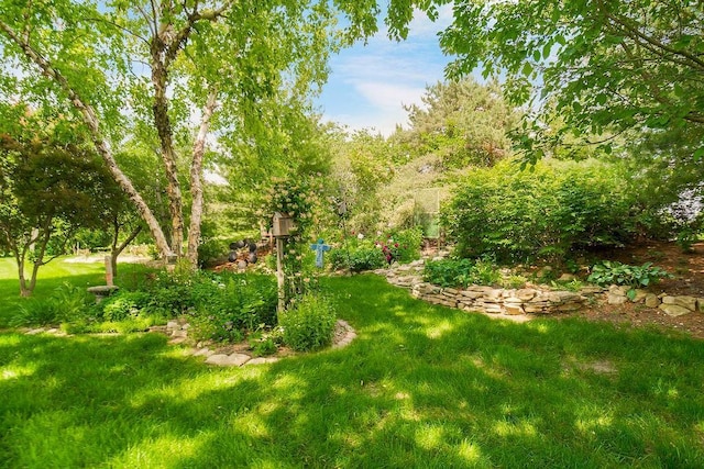 view of green lawn