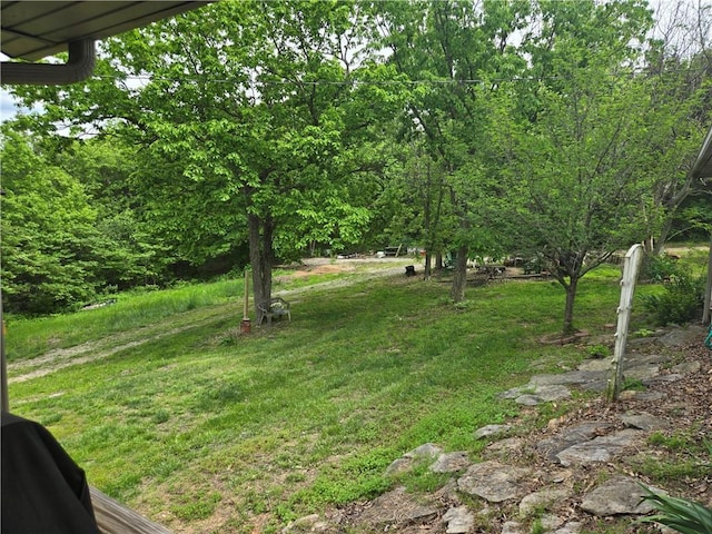 view of green lawn