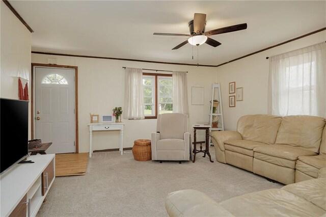 906 W Pearl St, Savannah, MO 64485 - living area featuring ceiling fan, light carpet, and crown molding