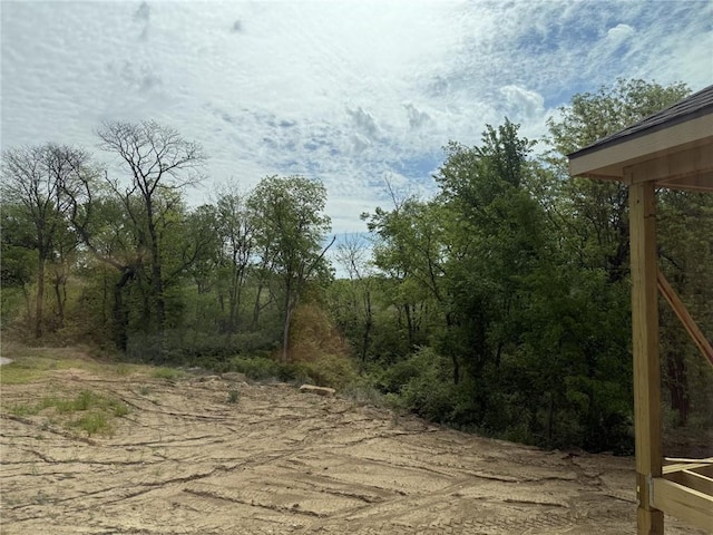 8913 N Colorado Ave, Kansas City, MO 64156 - view of local wilderness