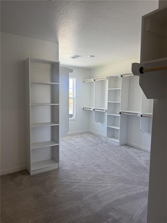 8913 N Colorado Ave, Kansas City, MO 64156 - walk in closet with carpet floors