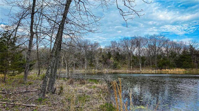 10200 SE 1075th Rd, Collins, MO 64738 - water view featuring a heavily wooded area