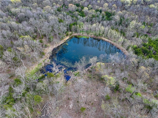 10200 SE 1075th Rd, Collins, MO 64738 - drone / aerial view of a nearby body of water