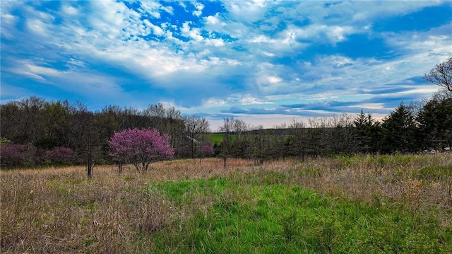 10200 SE 1075th Rd, Collins, MO 64738 - view of nature with rural landscape