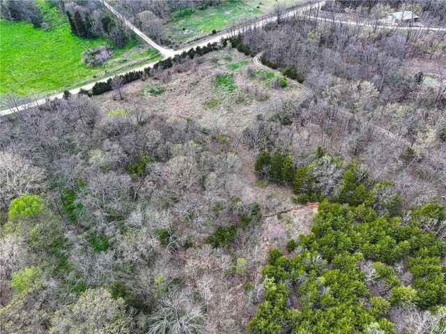 10200 SE 1075th Rd, Collins, MO 64738 - bird's eye view