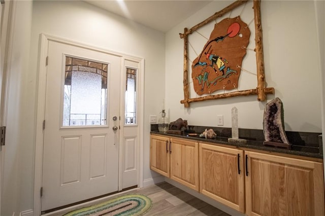 10200 SE 1075th Rd, Collins, MO 64738 - entrance foyer with light wood-type flooring