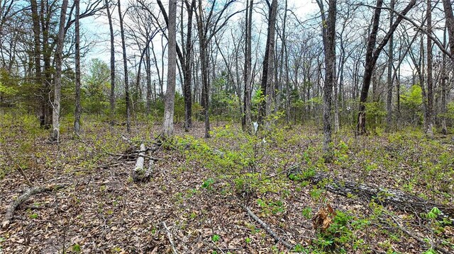 10200 SE 1075th Rd, Collins, MO 64738 - view of tree filled area