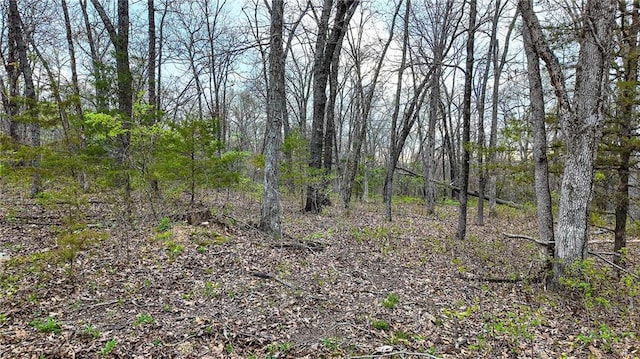10200 SE 1075th Rd, Collins, MO 64738 - view of wooded area
