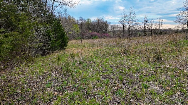 10200 SE 1075th Rd, Collins, MO 64738 - view of nature