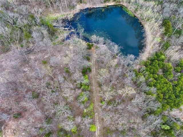 10200 SE 1075th Rd, Collins, MO 64738 - drone / aerial view of a nearby body of water