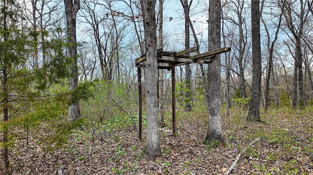 10200 SE 1075th Rd, Collins, MO 64738 - view of tree filled area