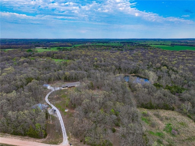 10200 SE 1075th Rd, Collins, MO 64738 - aerial overview of property's location with a heavily wooded area and a nearby body of water
