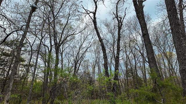 10200 SE 1075th Rd, Collins, MO 64738 - view of tree filled area