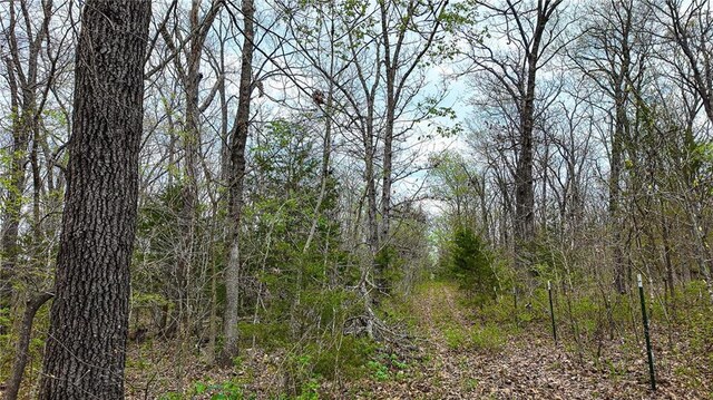 10200 SE 1075th Rd, Collins, MO 64738 - view of wooded area