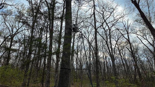 10200 SE 1075th Rd, Collins, MO 64738 - view of tree filled area