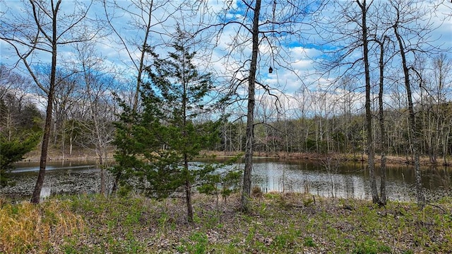 10200 SE 1075th Rd, Collins, MO 64738 - water view with a forest
