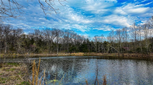 10200 SE 1075th Rd, Collins, MO 64738 - water view with a forest