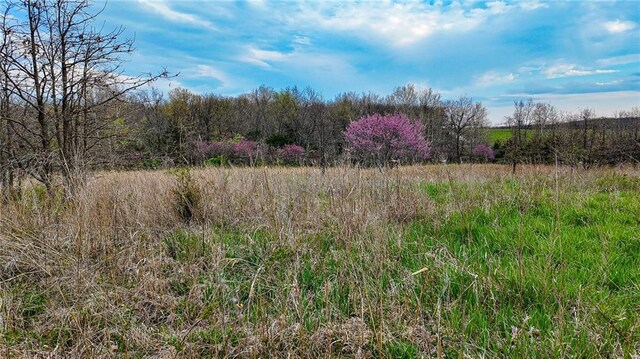 10200 SE 1075th Rd, Collins, MO 64738 - view of undeveloped land