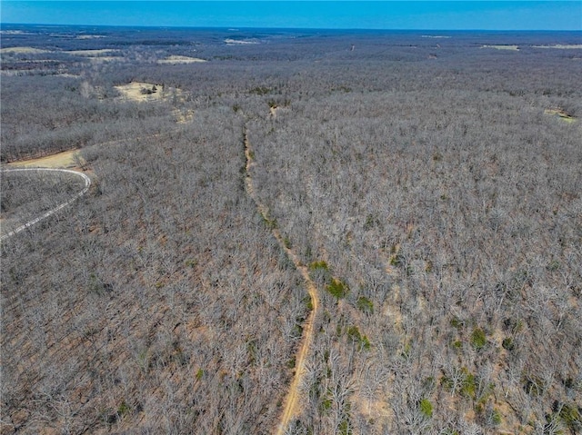 10875 SE 54th Hwy, Collins, MO 64738 - view of property location