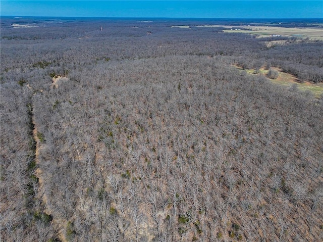 10875 SE 54th Hwy, Collins, MO 64738 - view of property location