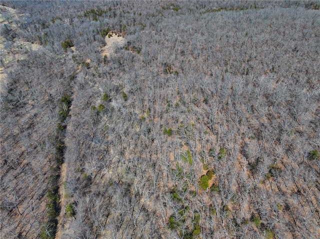 10875 SE 54th Hwy, Collins, MO 64738 - aerial overview of property's location