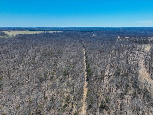 10875 SE 54th Hwy, Collins, MO 64738 - aerial view of property's location