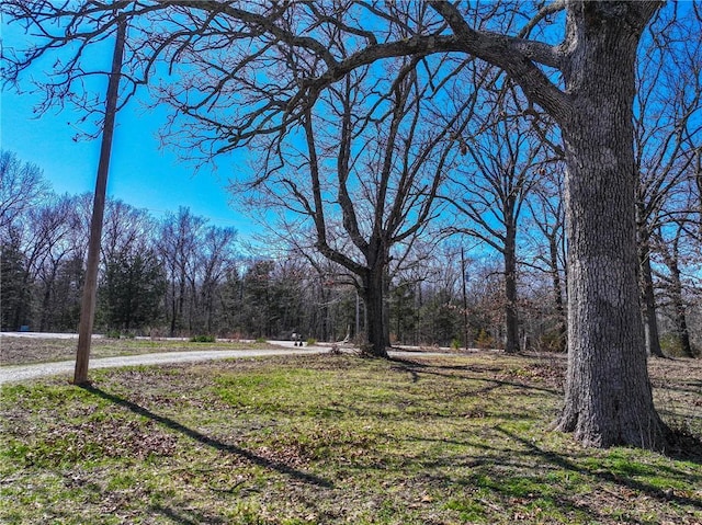 10875 SE 54th Hwy, Collins, MO 64738 - view of yard with a forest view
