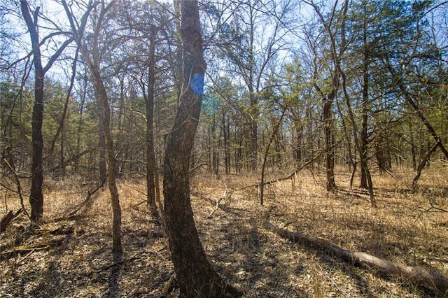 10875 SE 54th Hwy, Collins, MO 64738 - view of local wilderness