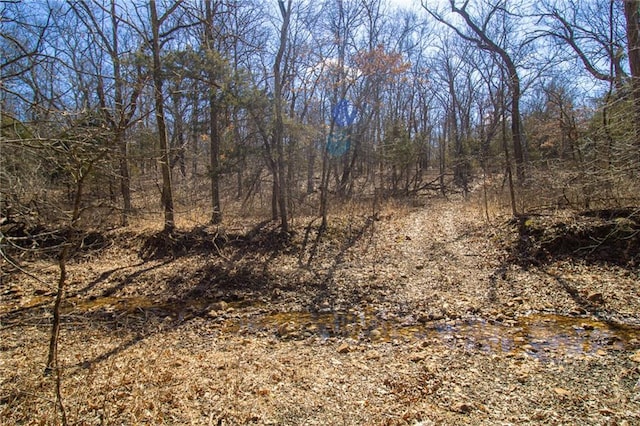 10875 SE 54th Hwy, Collins, MO 64738 - view of undeveloped land