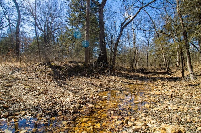10875 SE 54th Hwy, Collins, MO 64738 - view of nature