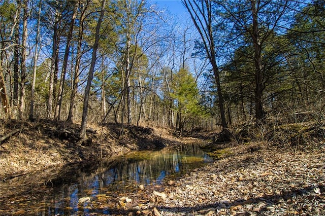 10875 SE 54th Hwy, Collins, MO 64738 - water view