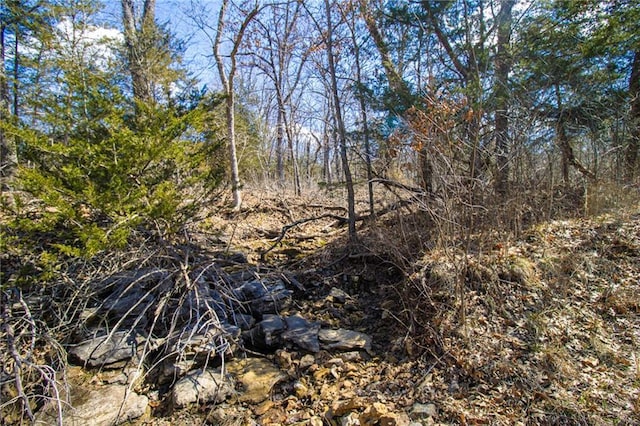 10875 SE 54th Hwy, Collins, MO 64738 - view of local wilderness