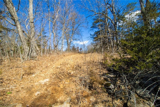 10875 SE 54th Hwy, Collins, MO 64738 - view of undeveloped land