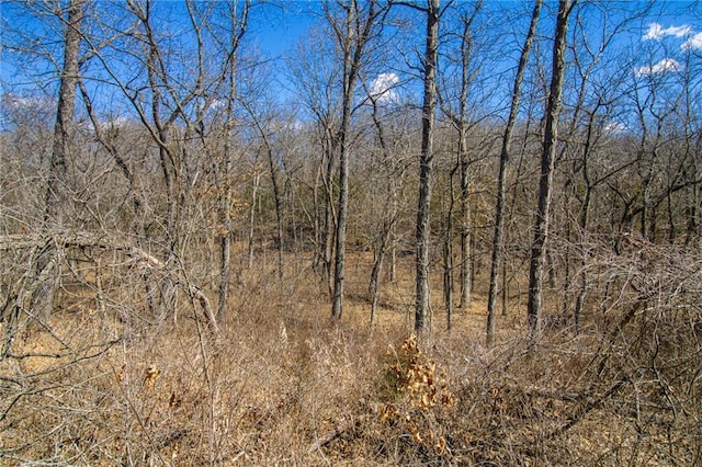 10875 SE 54th Hwy, Collins, MO 64738 - view of nature