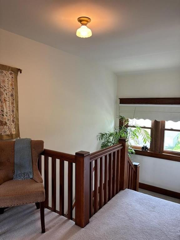 staircase with carpet