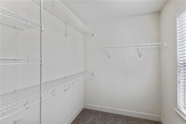 14037 W 112th Ter, Olathe, KS 66062 - spacious closet featuring dark carpet