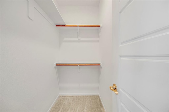 10201 N Winchester Ave, Kansas City, MO 64156 - spacious closet with carpet floors