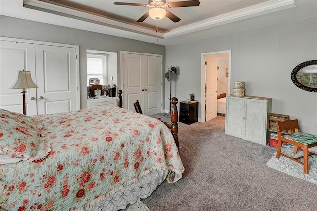 bedroom featuring a raised ceiling, multiple closets, carpet flooring, crown molding, and a ceiling fan
