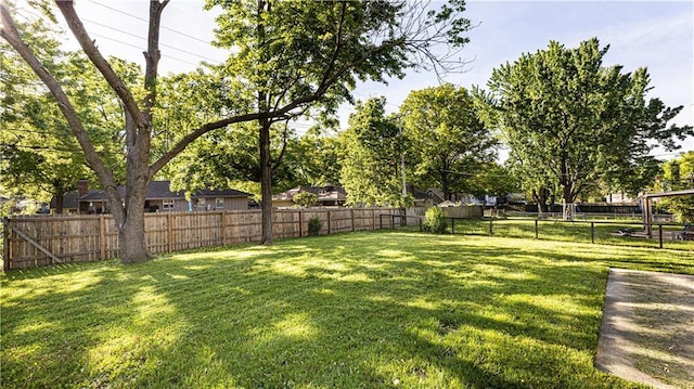 view of yard