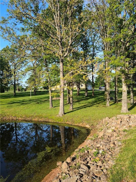 14674 W Hwy, Wheatland, MO 65799 - photo 17