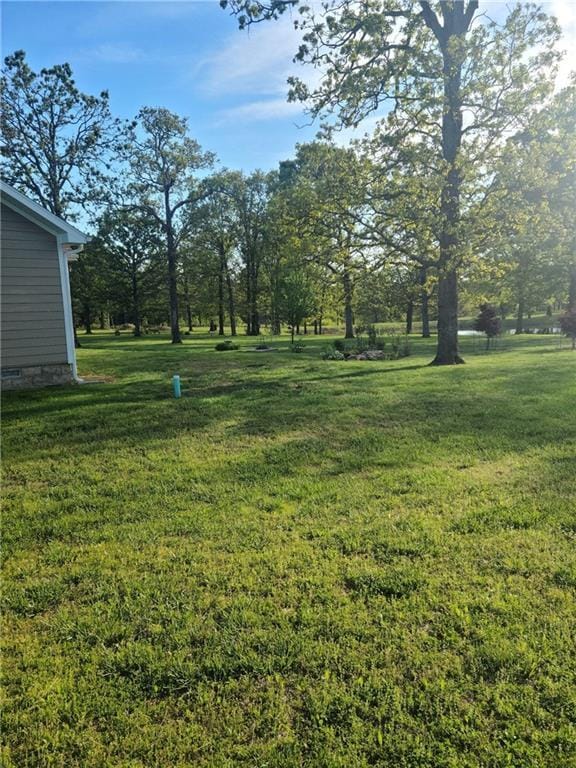 14674 W Hwy, Wheatland, MO 65799 - photo 13