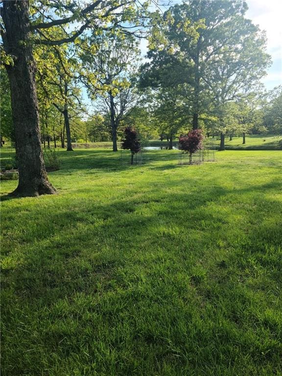 14674 W Hwy, Wheatland, MO 65799 - photo 15