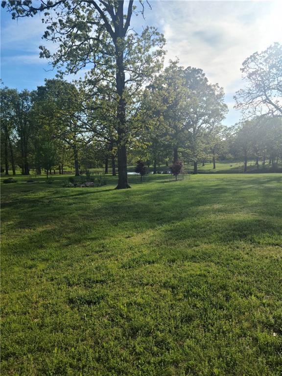 14674 W Hwy, Wheatland, MO 65799 - photo 23